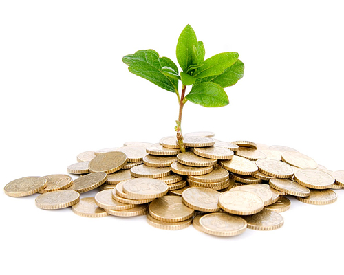 GREEN ECONOMY, NUOVO FILONE PER PMI E BANCHE